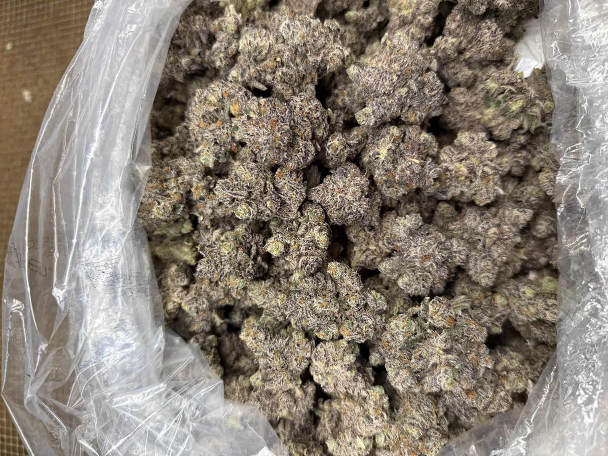 Unicorn Candy Flower
